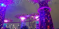 Gardens by the bay