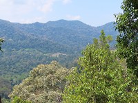 uitzicht over Taman Negara
