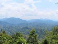 uitzicht over Taman Negara