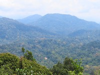 uitzicht over Taman Negara