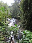 Robinson Falls