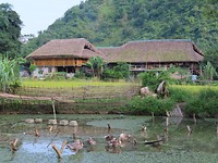 een Thai-huis
