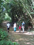 Khao Sok jungletour