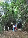 Khao Sok jungletour