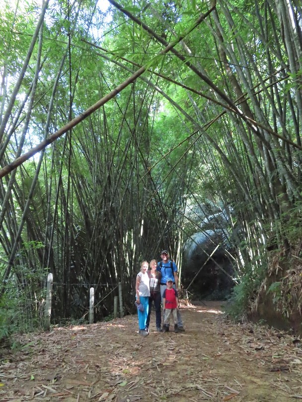 Khao Sok jungletour