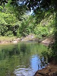 Khao Sok jungletour