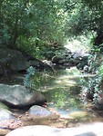 Khao Sok jungletour