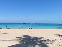 Koh Tao