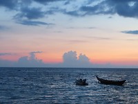 Koh Tao