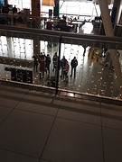 IMG_1502