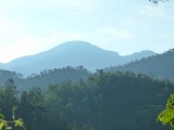 P1060731
