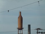 P1060781
