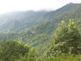 P1090401