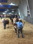 NC State Fair