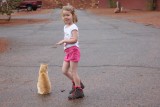 USA poes Mon Valley