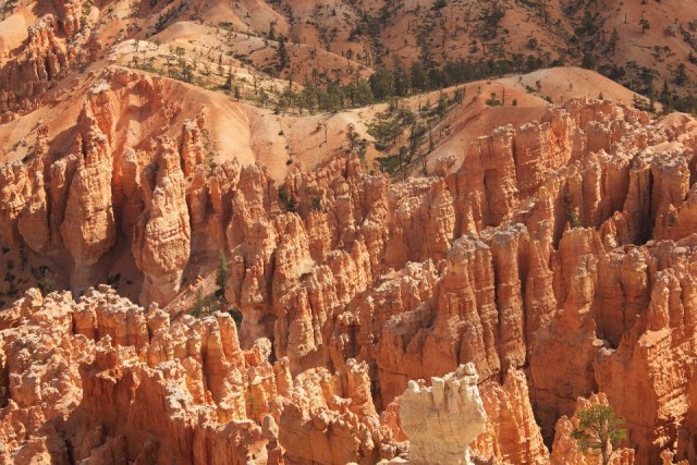 bryce point 2