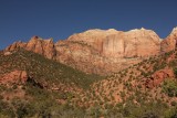 IMG_7507