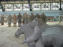 de paarden