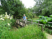 de wilde tuin in Bateman's