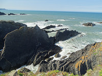 DSC04650