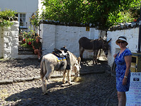 DSC04699
