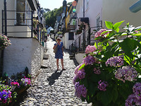 DSC04705