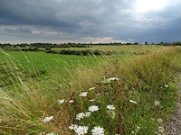 Onderweg naar Walberswick