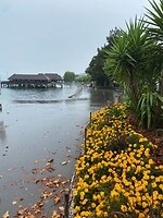 de prachtige Bodensee