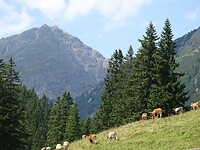 Berwang