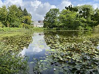 De botanische tuin