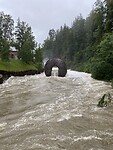 Kunst in de rivier