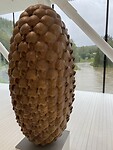 zelfportret of dennenappel?