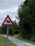 Al veel verkeersborden gezien, maar nog geen echte eland...