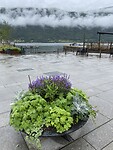fjord