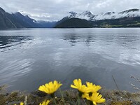 fjord