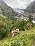 Bøyabreen.