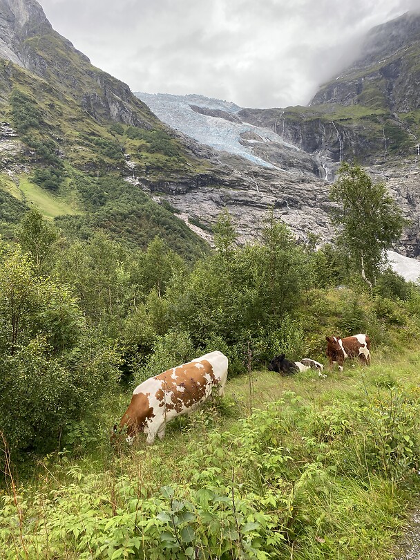 Bøyabreen.