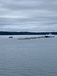 viskwekeriij op zee