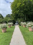 koninklijk park