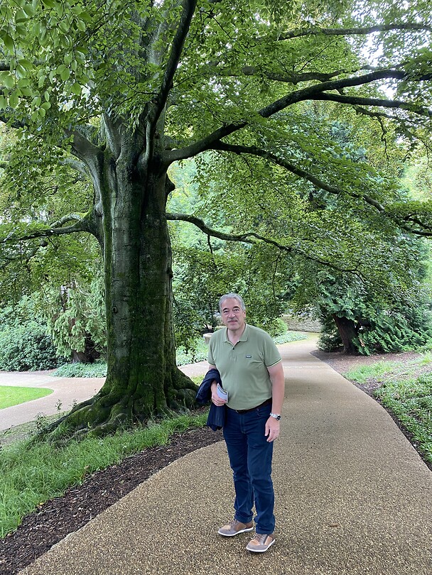 in het park