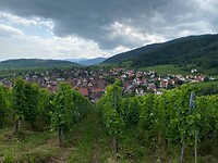 Zicht op Riquewihr