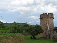Kientzheim