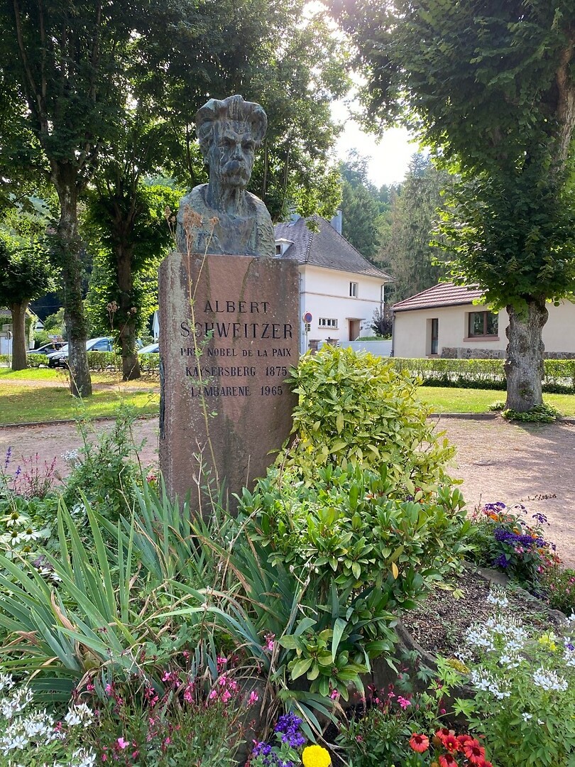 Albert Schweitzer