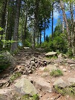 Het wandelpad
