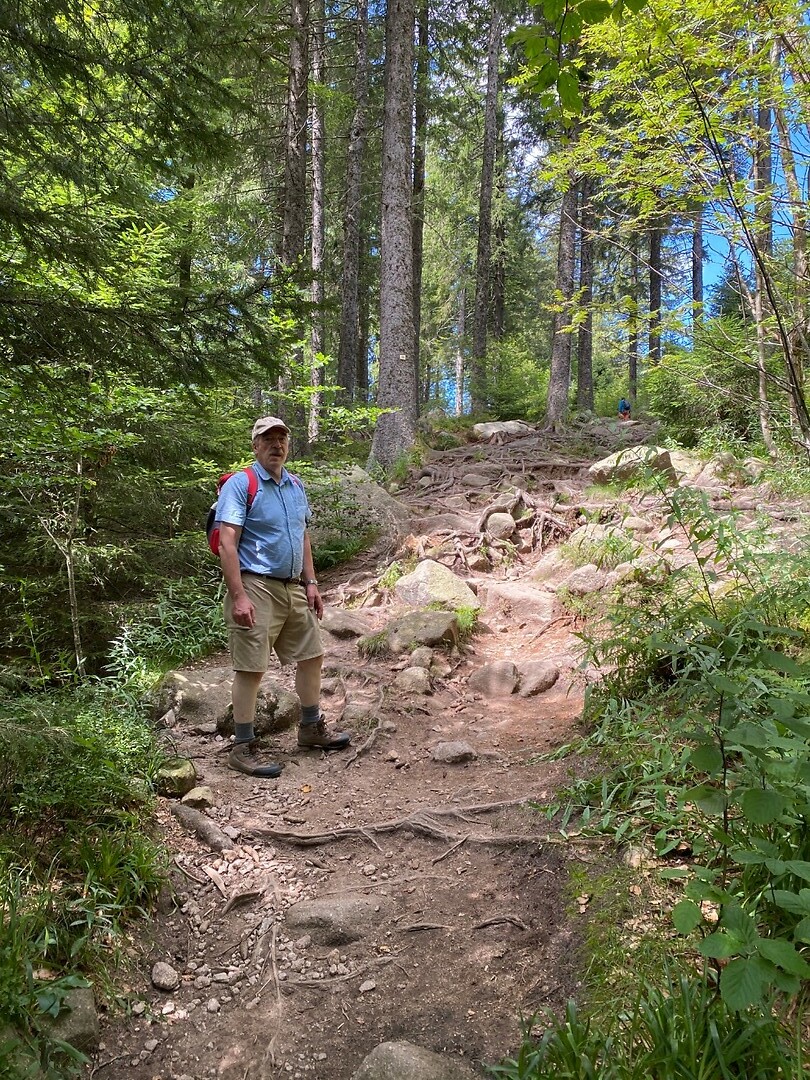 Het wandelpad