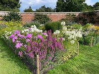 De ommuurde tuin