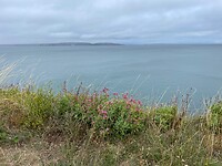 De baai van Brixham