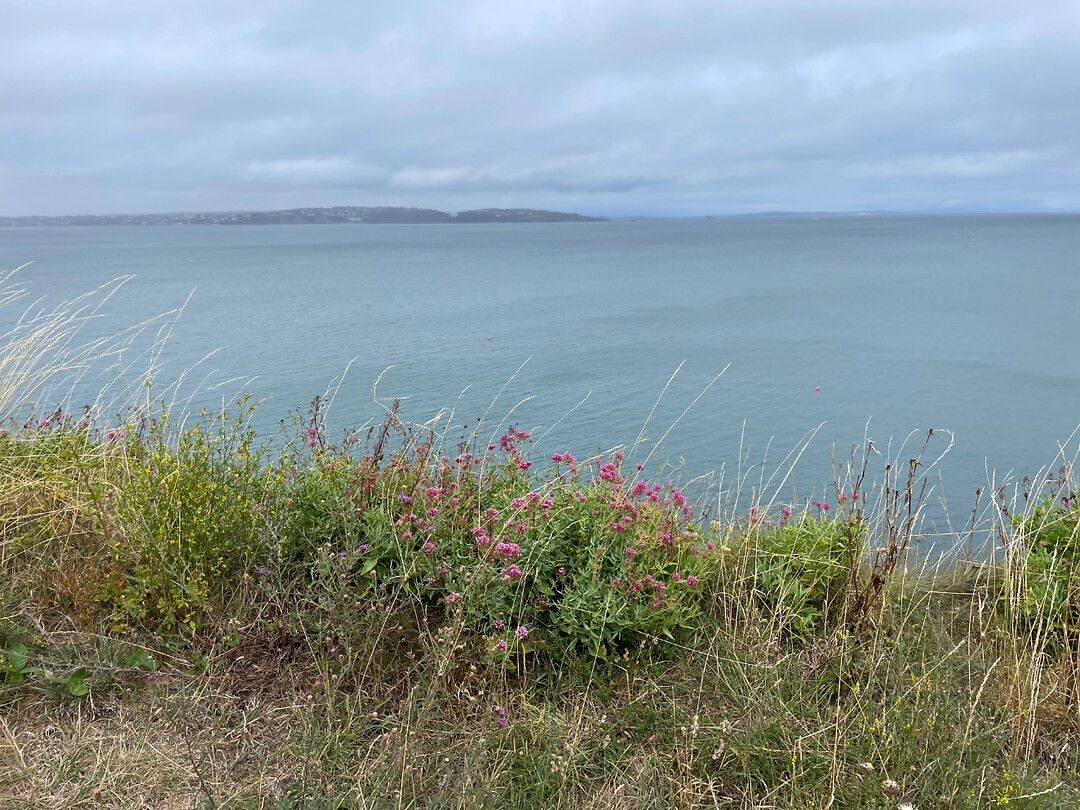 De baai van Brixham