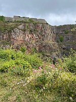 Berry Head