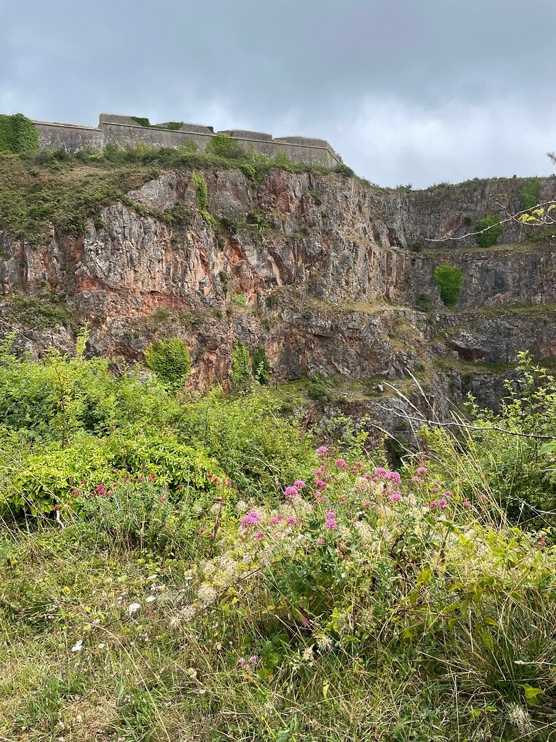 Berry Head